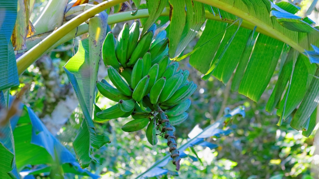 07 - Monterverde (08).jpg